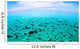 North Sound Flat Calm Wall Decal