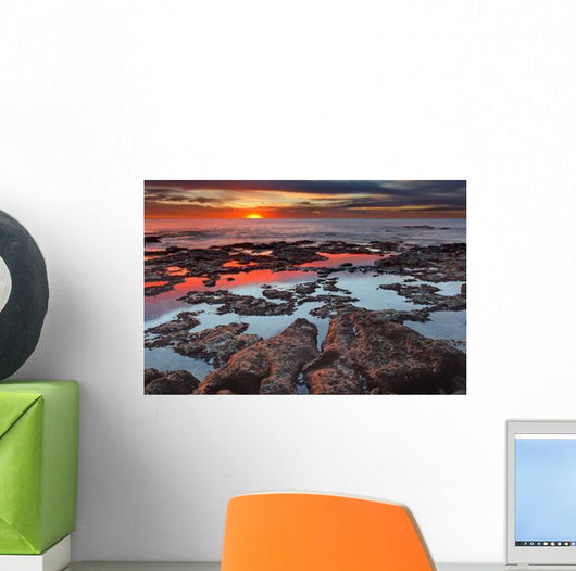 Tidal Pools Reflect Sunrise Wall Decal