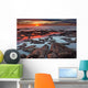 Tidal Pools Reflect Sunrise Wall Decal