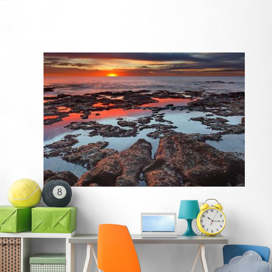 Tidal Pools Reflect Sunrise Wall Decal