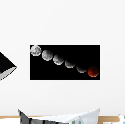 Composite Showing Different Stages Wall Decal