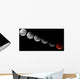 Composite Showing Different Stages Wall Decal