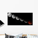 Composite Showing Different Stages Wall Decal