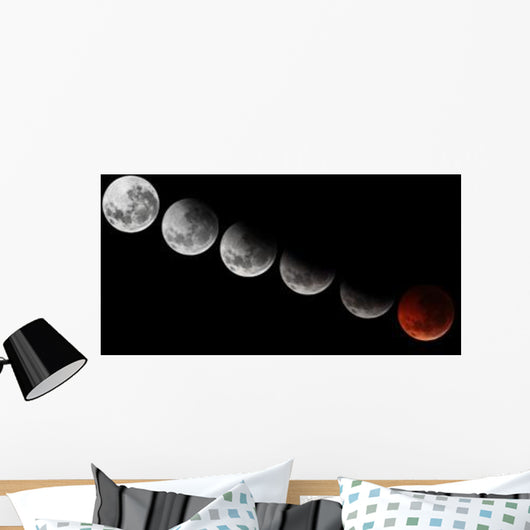 Composite Showing Different Stages Wall Decal