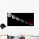 Composite Showing Different Stages Wall Decal