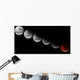 Composite Showing Different Stages Wall Decal