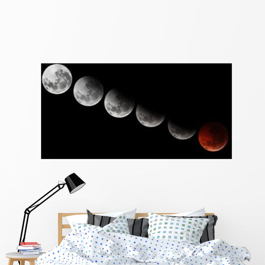 Composite Showing Different Stages Wall Decal