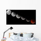 Composite Showing Different Stages Wall Decal