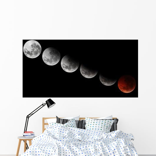 Composite Showing Different Stages Wall Decal