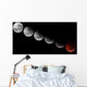 Composite Showing Different Stages Wall Decal