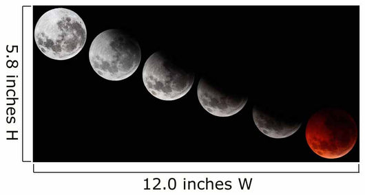 Composite Showing Different Stages Wall Decal