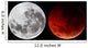 Composite Showing Moon before Wall Decal
