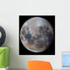 True Colors Moon during Wall Decal