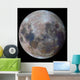True Colors Moon during Wall Decal