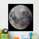 True Colors Moon during Wall Decal