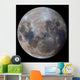 True Colors Moon during Wall Decal