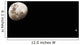 Earth's Moon and Jupiter Wall Decal