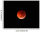 Totality Phase Lunar Eclipse Wall Decal