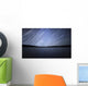Star Trails Celestial Equator Wall Decal