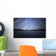 Star Trails Celestial Equator Wall Decal