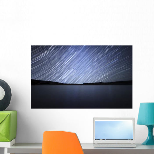 Star Trails Celestial Equator Wall Decal