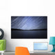 Star Trails Celestial Equator Wall Decal