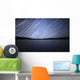 Star Trails Celestial Equator Wall Decal