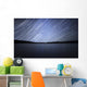 Star Trails Celestial Equator Wall Decal