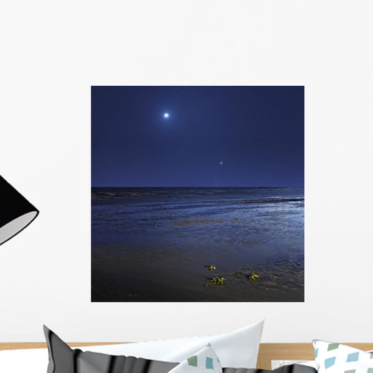 Venus Shines Brightly below Wall Decal