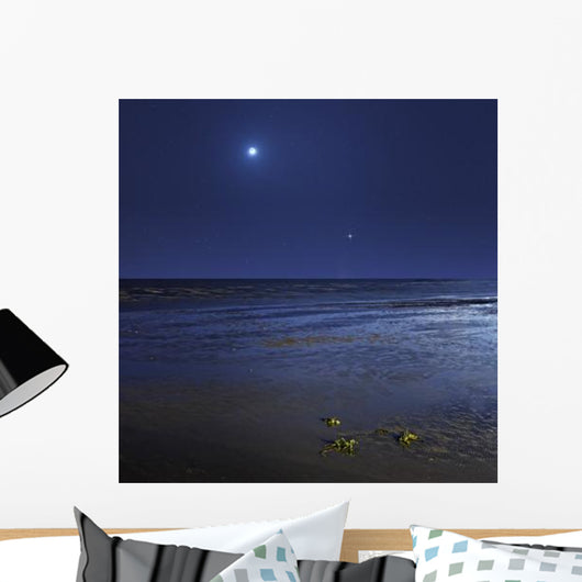 Venus Shines Brightly below Wall Decal