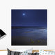 Venus Shines Brightly below Wall Decal