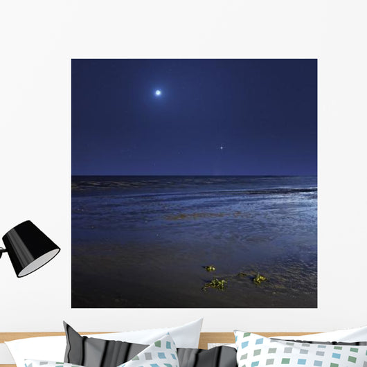 Venus Shines Brightly below Wall Decal
