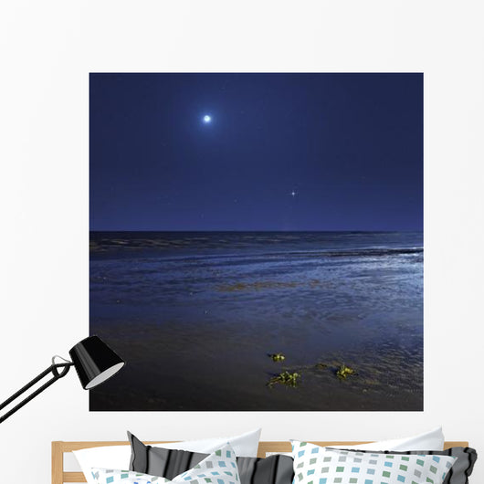 Venus Shines Brightly below Wall Decal