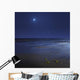 Venus Shines Brightly below Wall Decal