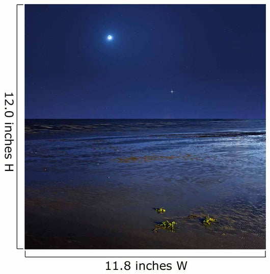 Venus Shines Brightly below Wall Decal