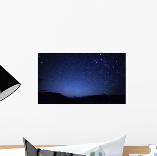 Bright Sporadic Meteor Patagonic Wall Decal