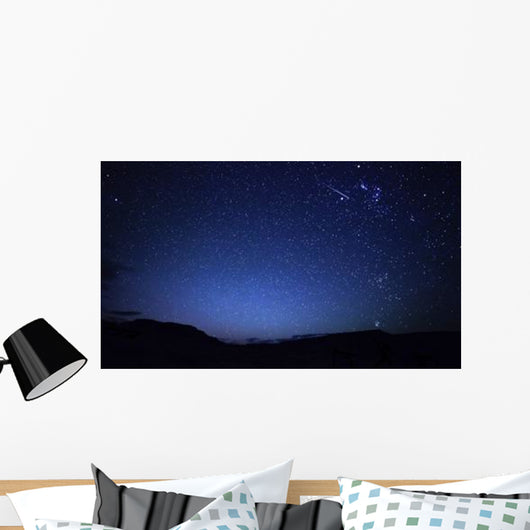 Bright Sporadic Meteor Patagonic Wall Decal