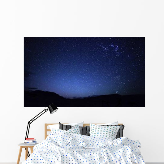 Bright Sporadic Meteor Patagonic Wall Decal