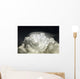 Cumulus Congestus Cloud with Wall Decal