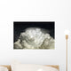 Cumulus Congestus Cloud with Wall Decal