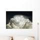 Cumulus Congestus Cloud with Wall Decal