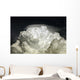 Cumulus Congestus Cloud with Wall Decal