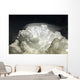 Cumulus Congestus Cloud with Wall Decal