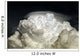 Cumulus Congestus Cloud with Wall Decal