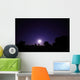 Bolide from Geminids Meteor Wall Decal
