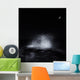 Crescent Moon and Waves Wall Decal