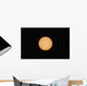 Sunspots Sun's Surface Wall Decal