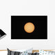 Sunspots Sun's Surface Wall Decal