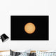 Sunspots Sun's Surface Wall Decal