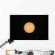 Sunspots Sun's Surface Wall Decal